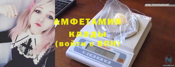 дживик Липки