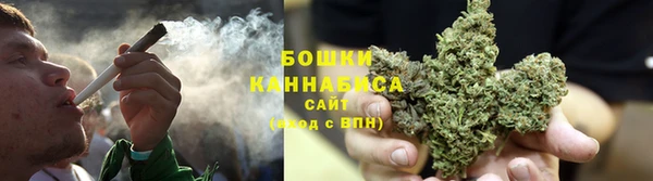 дживик Липки
