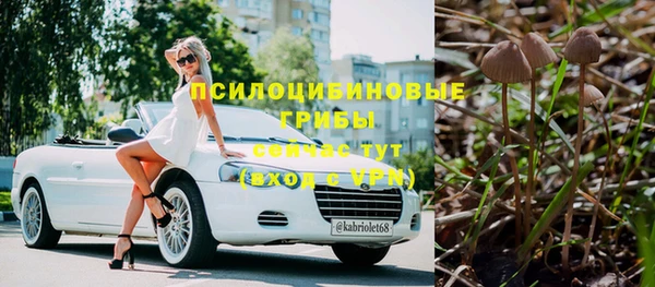 дживик Липки