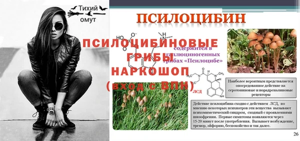 дживик Липки
